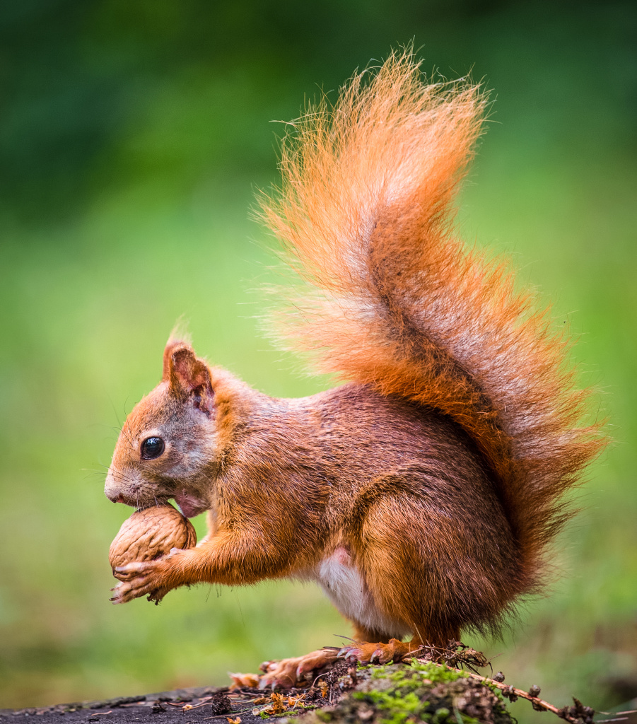 Depositphotos_38094881_xl-2015.jpg Depositphotos_38094881_xl-2015.jpg