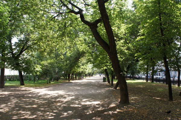 DSC00208-600x399.jpg